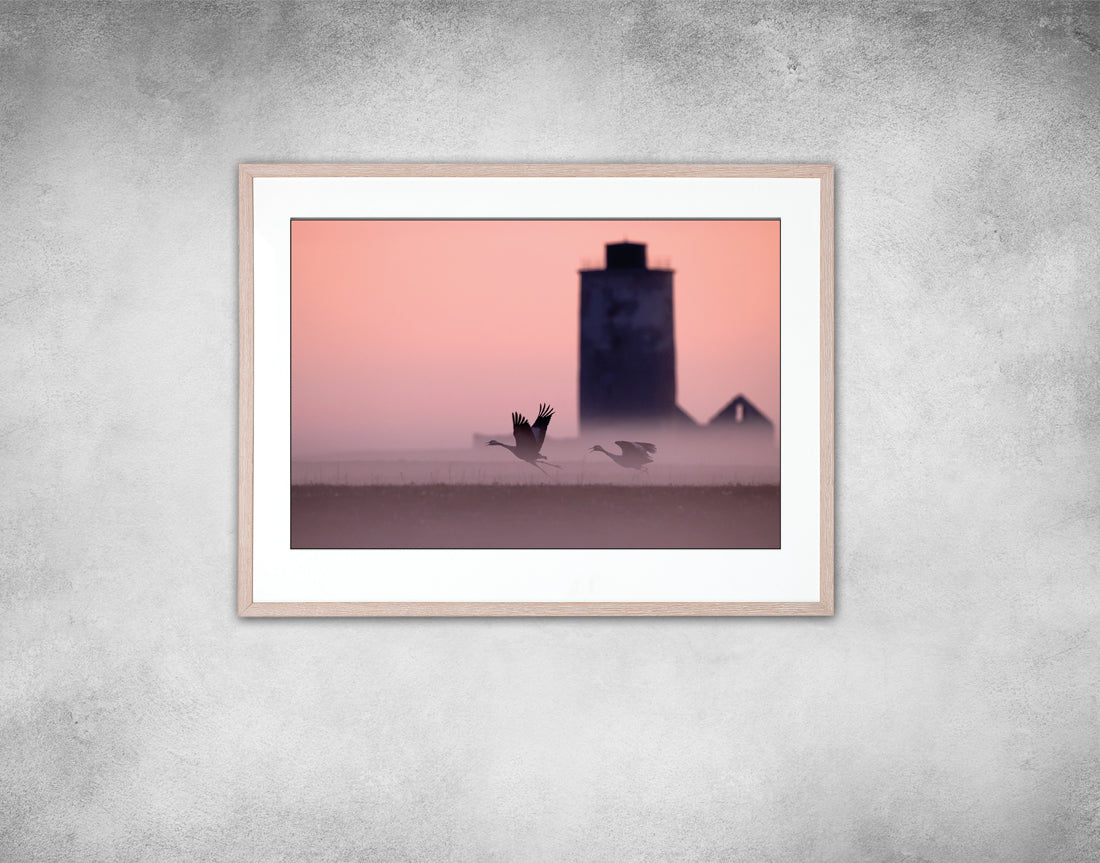 The cranes and the lighthouse