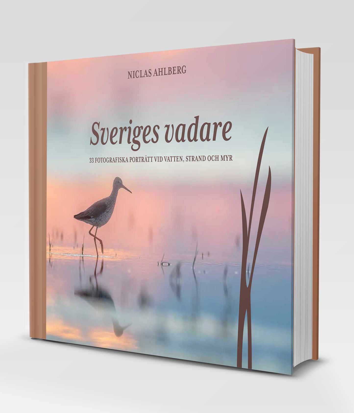 Sveriges vadare - 33 fotografiska porträtt vid vatten, strand och myr