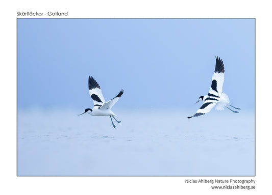 Cutting spots in flight