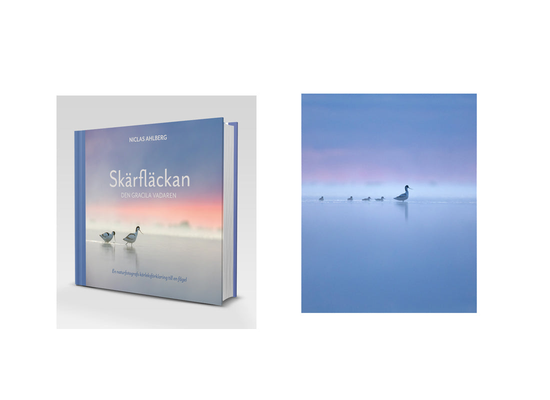 Skärfläckan - presentpaket